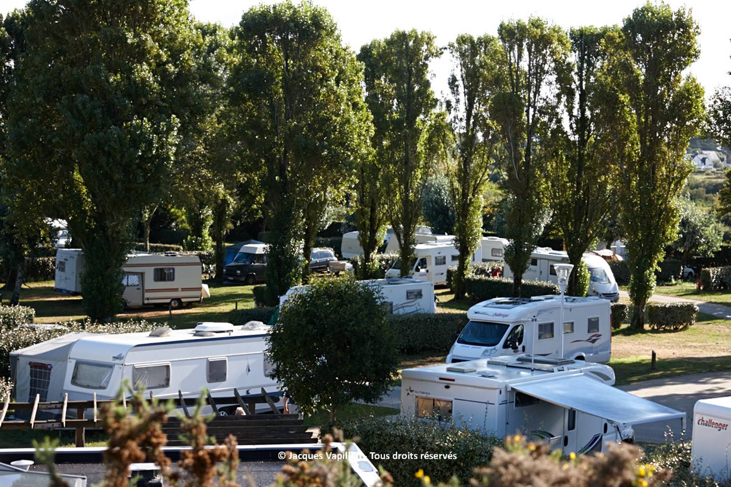 camping-Falaise-locmariaquer-morbihan-bretagne-sud ©