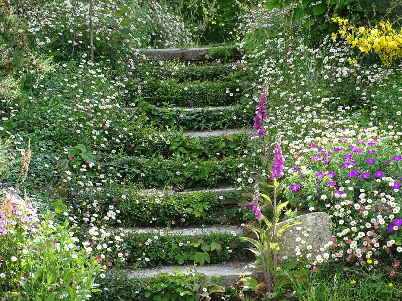 escalier fleuri ©